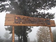 fugio Pirao-20101010 125